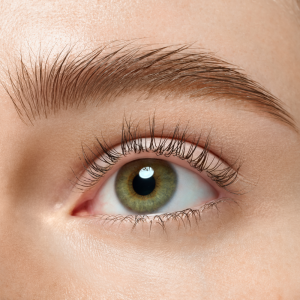 brow powder duo set - Image 5